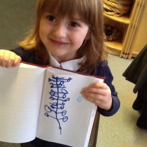 hannah's beanstalk